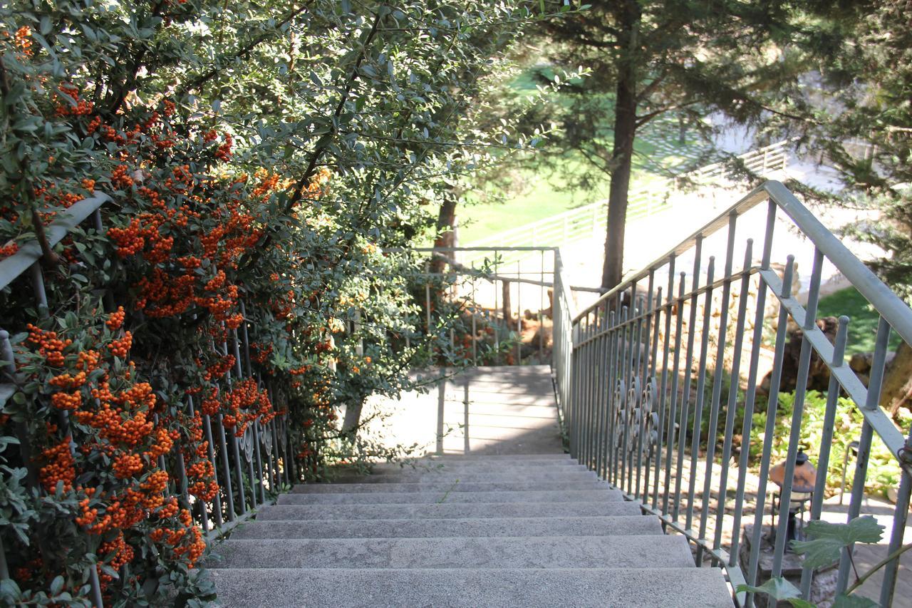 Domaine De Chouchene Hotel Sahrat al Qashsh Exterior photo